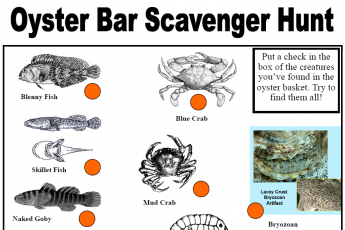 Oyster bar scavenger hunt