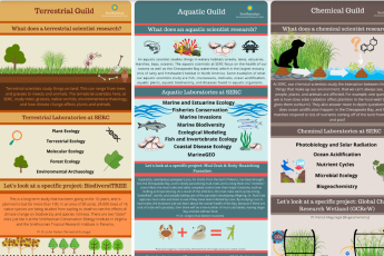 SERC research infographics: Terrestrial Guild, Aquatic Guild, and Chemical Guild