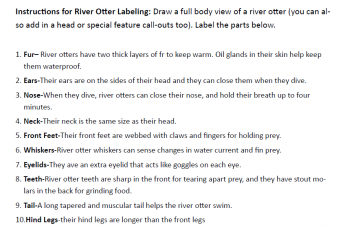 Instructions for river otter labeling