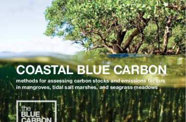 Blue Carbon Manual — The Blue Carbon Initiative