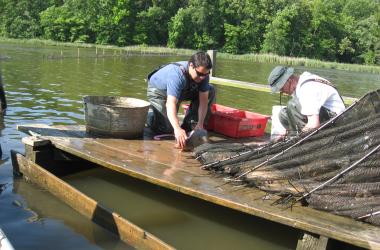 scientists at SERC weir