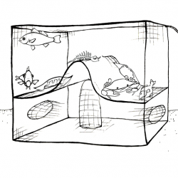examples of research topics in fisheries pot