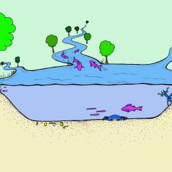 examples of research topics in fisheries trib