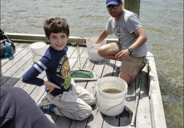 Volunteers help with counting fish and shrimp that are found in the mud crab collectors.