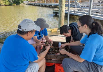 A group of volunteers sit around a screen on which are oyster shells from a mud crab trap. They sit on orange buckets on a dock.