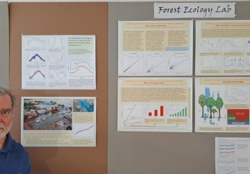 Volunter poses by cork board with multiple posters displaying various projects under the Forest Ecology Lab heading