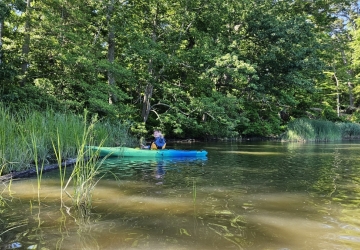 A volunteer in a kyaka smiles towards the camera. They are on a brown-green water and against a river banks of grasses.
