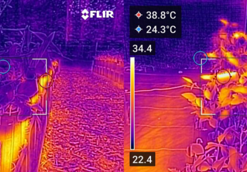 Two thermal camera images of the soybean experiment. The first shows a cooler treatment and is more purple. The second show a wa