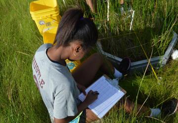 volunteer recording