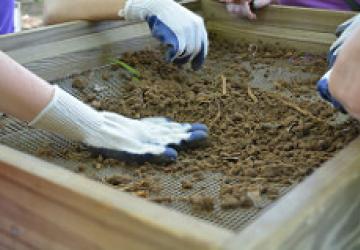 volunteers pick out artifacts