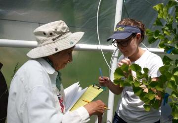 volunteers taking leaf samples