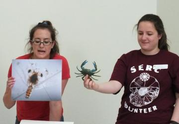 The woman on the left is holding a diagram of an aquatic organism. The woman on the right is holding a blue crab