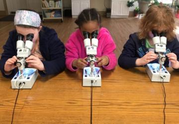 3 elementary school aged kids sitting next to each other at a table, looking into their microscope