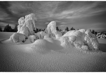 Black and white photo of a copse of trees buried in deep snow, creating ghostly shapes beneath the clouds