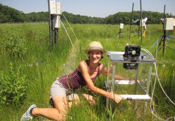 Genevieve Noyce kneels beside a clear experimental chamber in a marsh