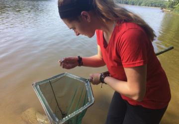 Intern Annette collects shrimp in the field