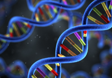 DNA