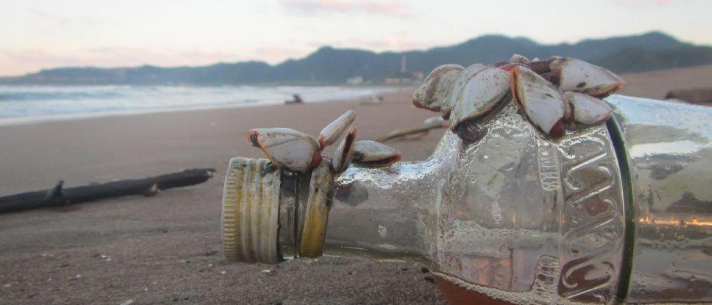 Washed up bottle on beach with barnacles attached