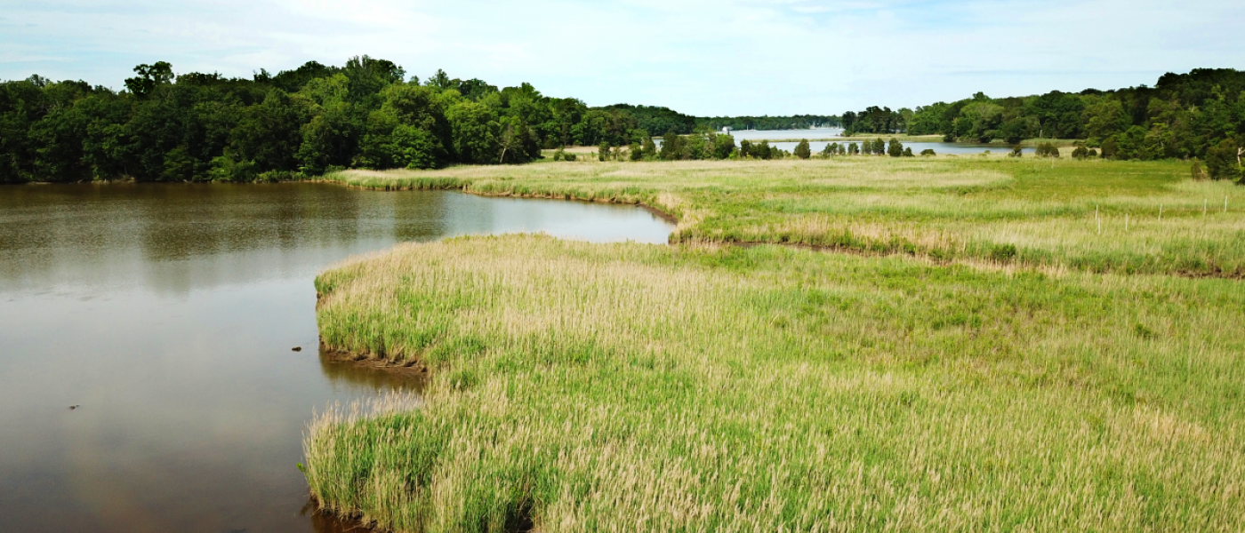 Overlook of the Rhode River from the Global Change Research Wetlands (GCReW).