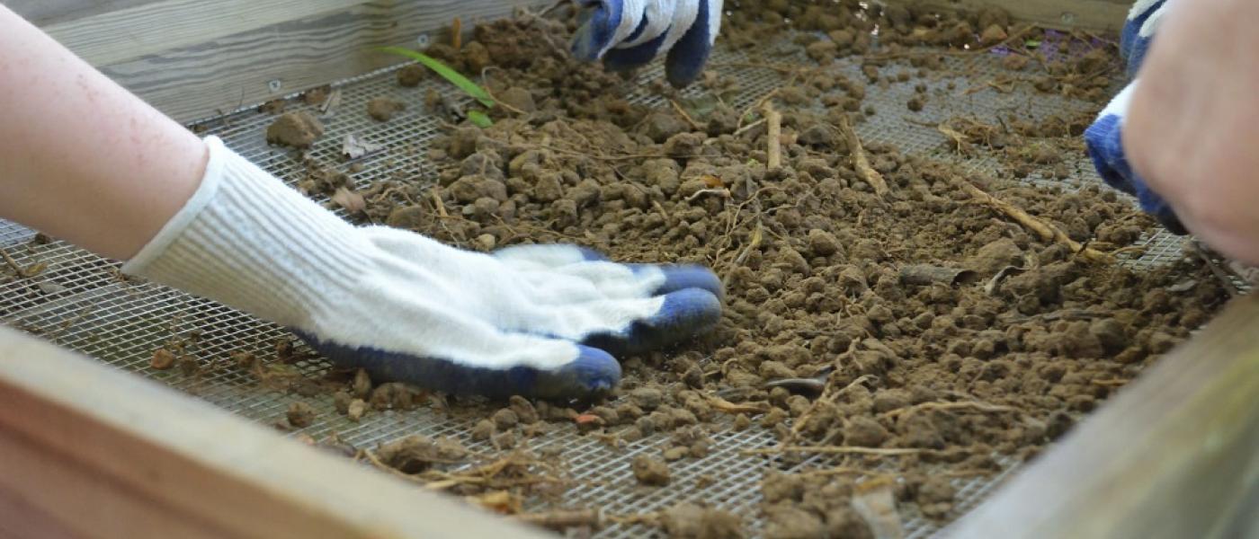 volunteers pick out artifacts
