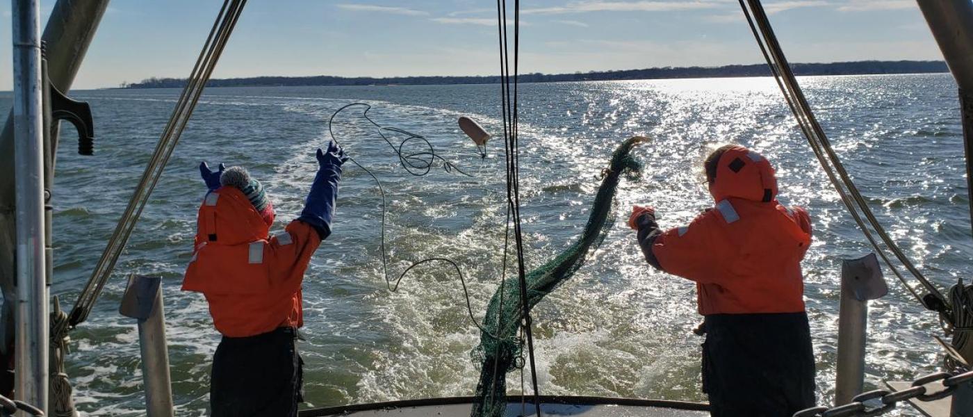 throwing the trawl net
