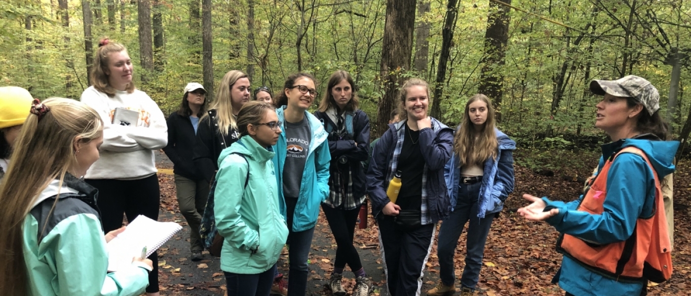 A young woman in an orange safety vests talks to a group of young adults on a paved road in a forest, covered with autumn leaves