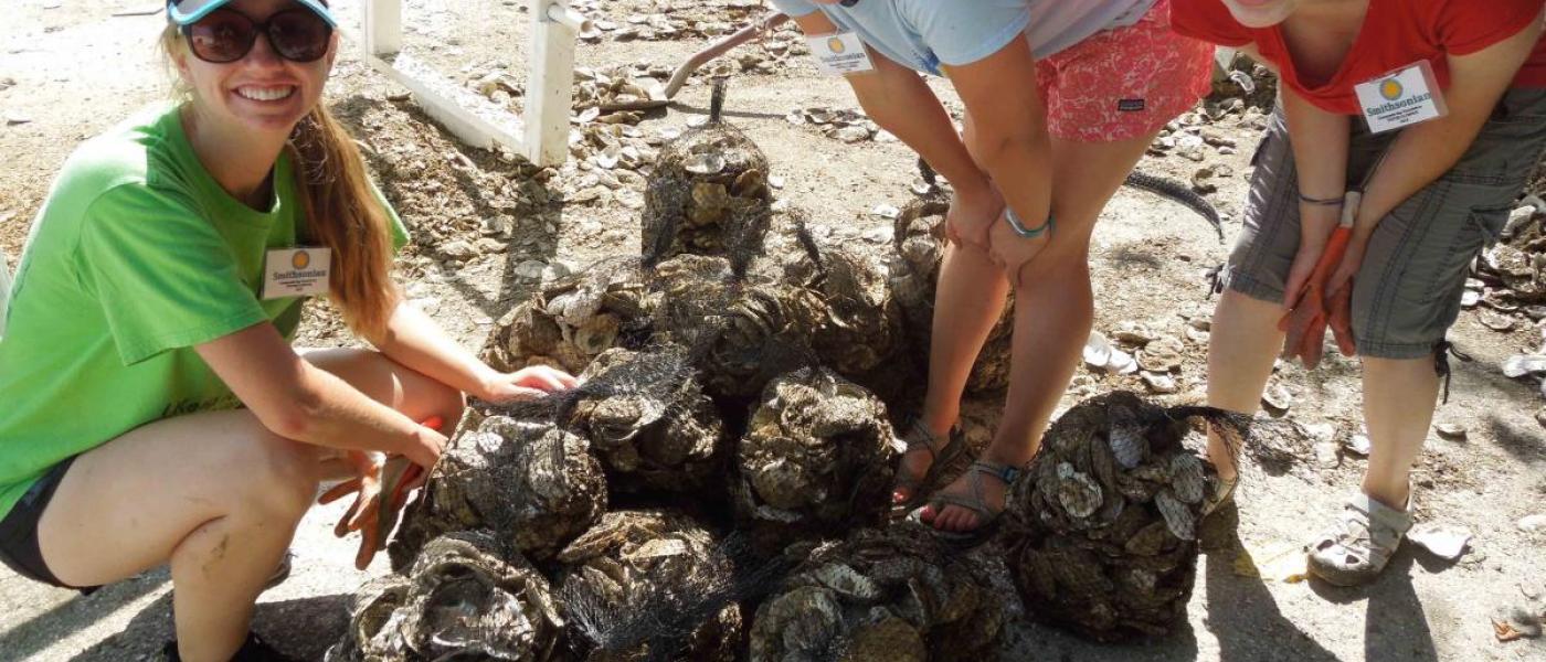 2015 summer interns compete in Oyster Olympics