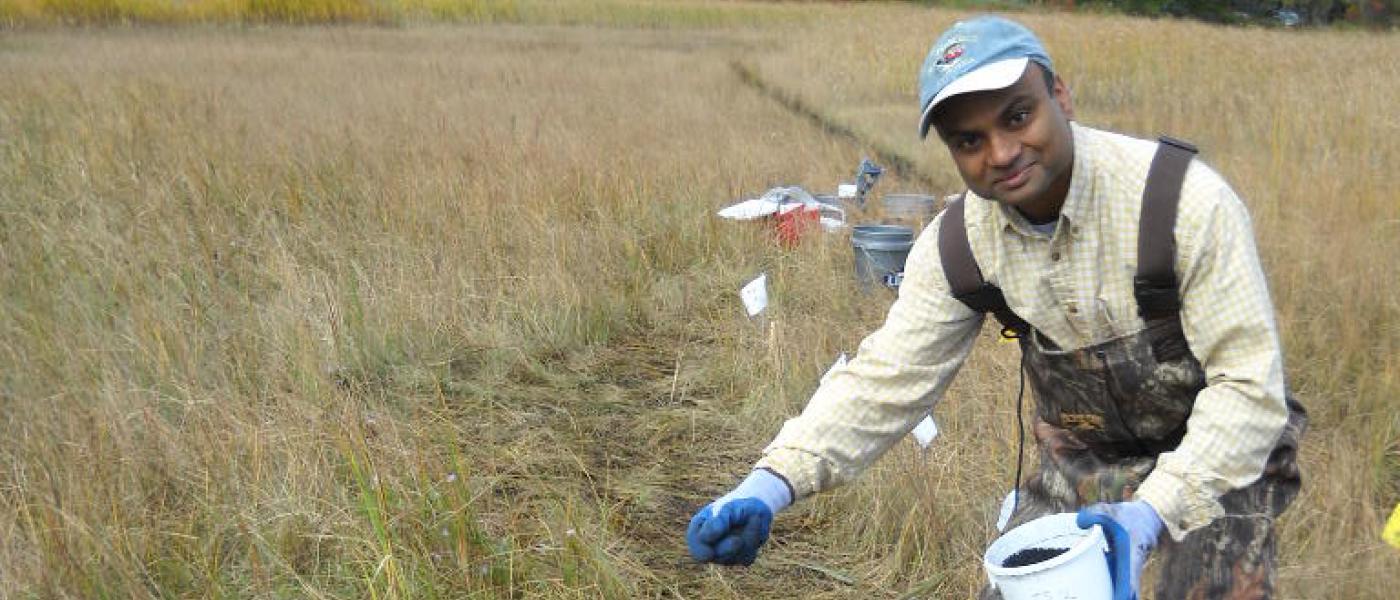 research about environmental pollution Scientist studying mercury pollution in a marsh