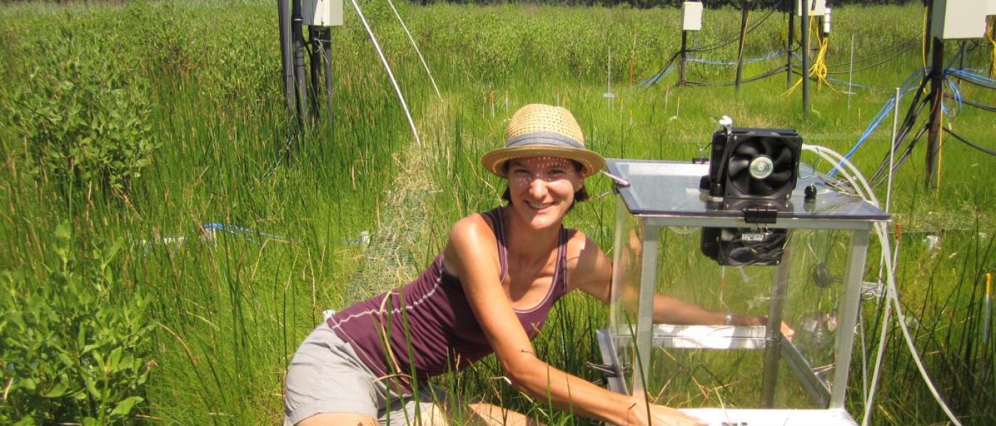 Young woman with transparent experimental chamber in grassy wetland