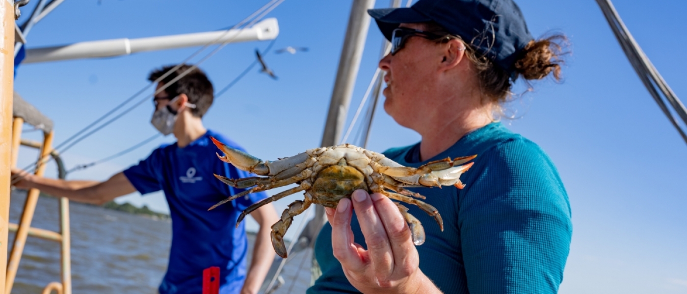 A woman wearing a dark cap is holding a blue crab to the camera, but looking away