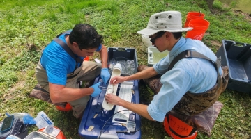 Tagging river herring