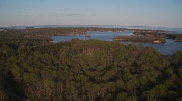 image of SERC forest and river from a drone