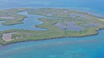 mangrove archipelago Belize