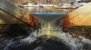 Nutrient Cycles | Smithsonian Environmental Research Center Nutrient Cycles | Smithsonian Environmental Research Center