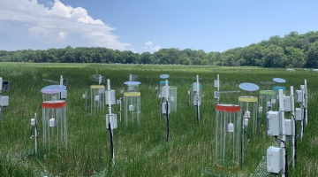 Automatic methane chambers at wetland