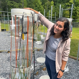 Alia Al-Haj fixing a flux chamber