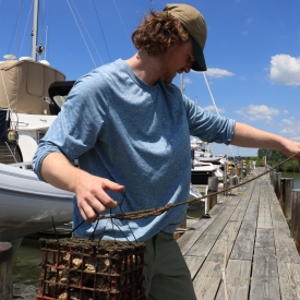 Researcher deploying a collector to monitor native crab populations.