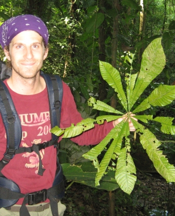 Dr. Eric Griffin doing field work in a Panamanian forest 