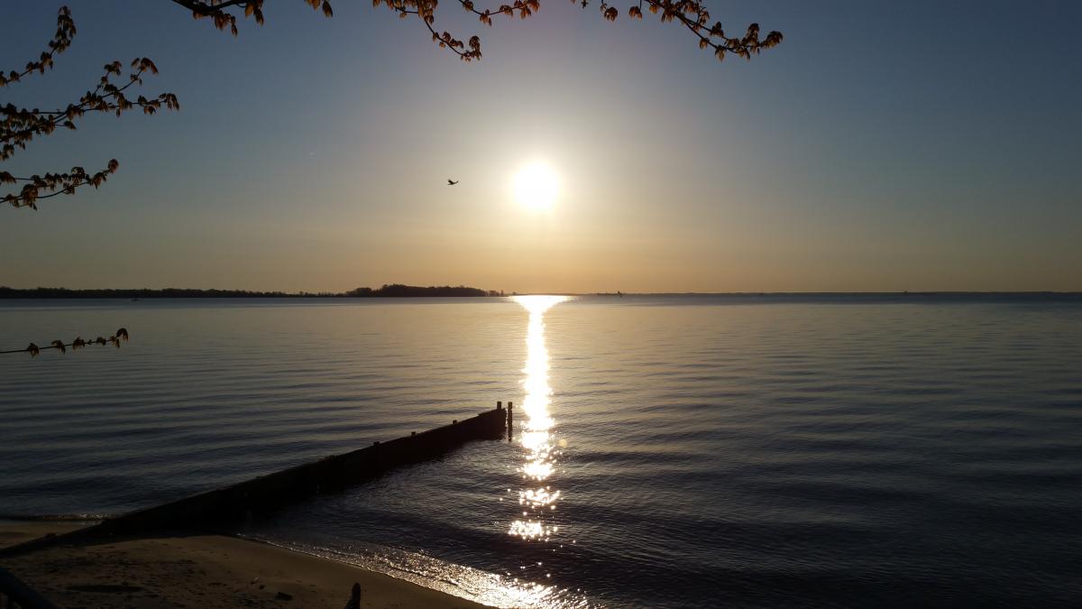 Sunrise over the Rhode River