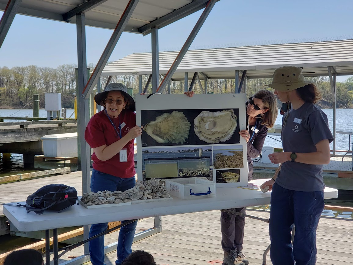 3 SERC volunteers are standing around a rectangular white table with lots of oysters piled on 2 square trays. 2 of the volunteers are standing behind the table, holding a large poster with various images of oysters on it. They appear to be talking about the images. The third volunteer is standing in front of the table, looking at the poster. They are on the dock and in the background, you can partially see the water.