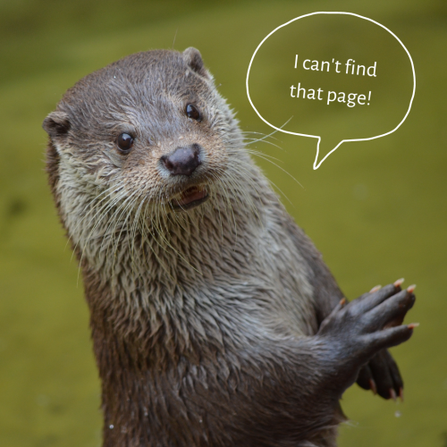 An otter with a text bubble that reads, "I can't find that page!"