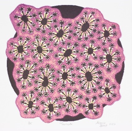 alanna-baird-tunicate.jpg