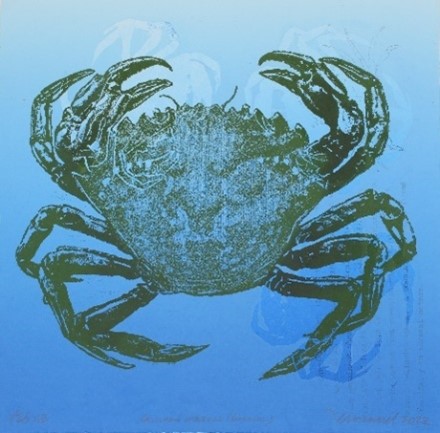ann-manuel-carcinus-maenas.jpg