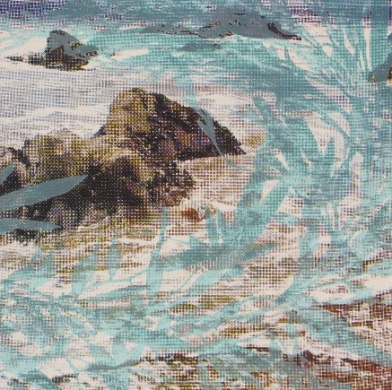 michelle-rozic-sargassum-horneri-devil-weed.jpg