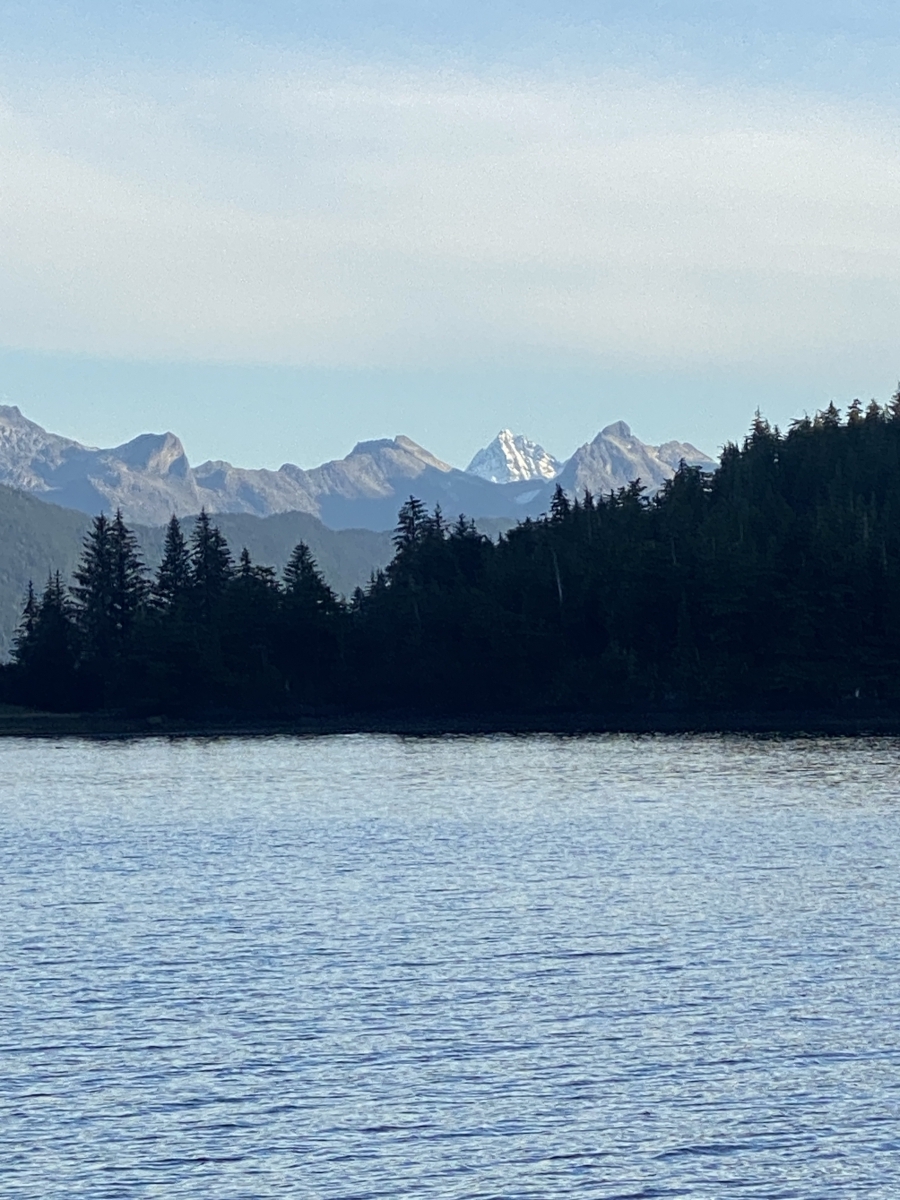A body of water in the foreground, with a forest of trees and mountains in the background. Taken in Cordova, Alaska.