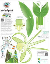 orchid-gami
