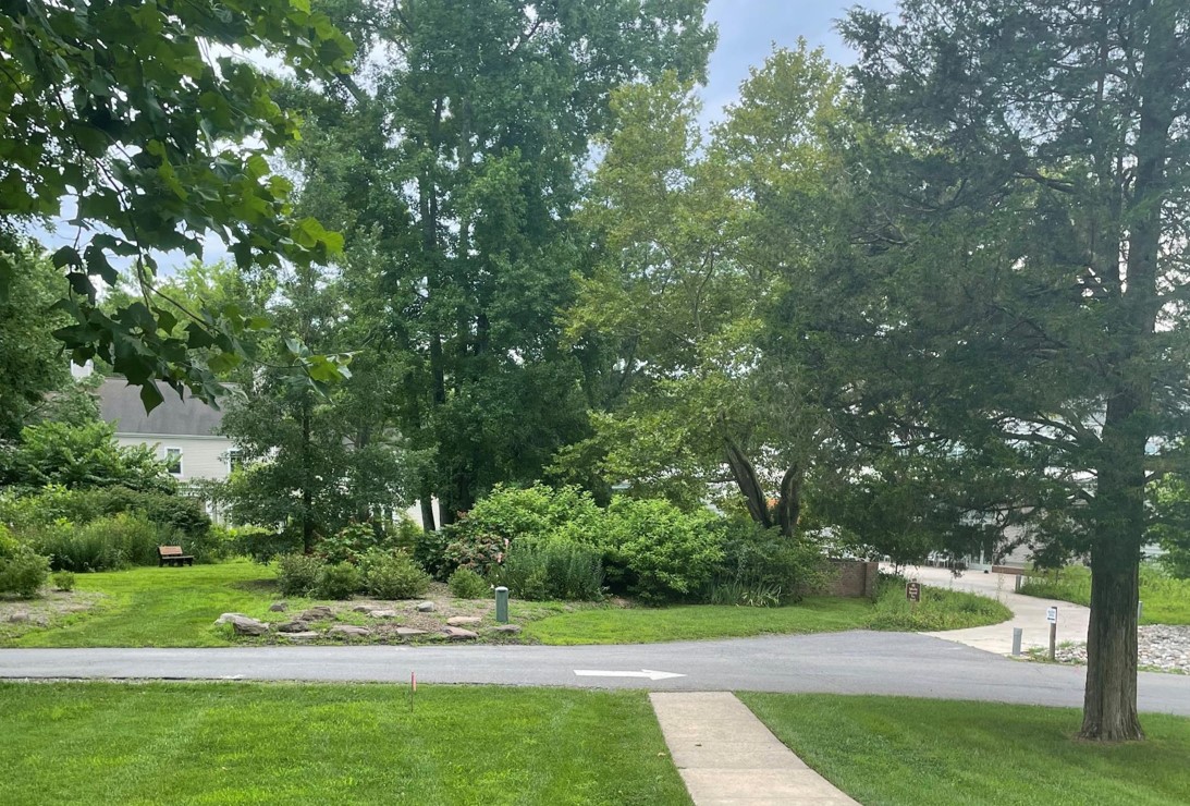 Garden view from the Schmidt Conference Center