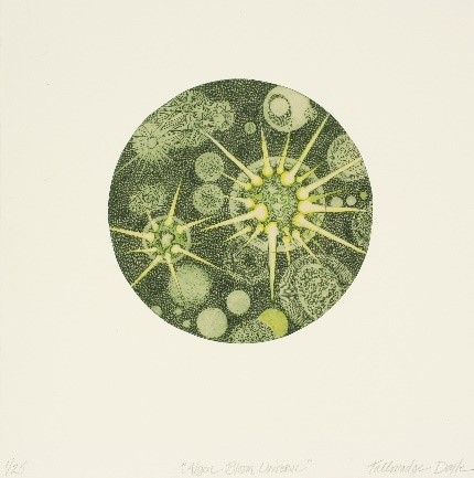 tallmadge-doyle-algae-bloom-universe.jpg