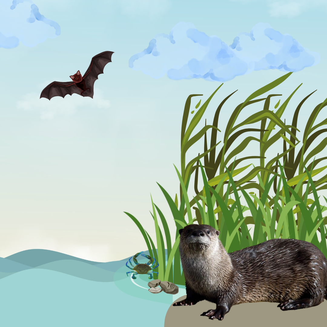 A river otter in front of aquatic grass and a blue crab, with a bat flying above
