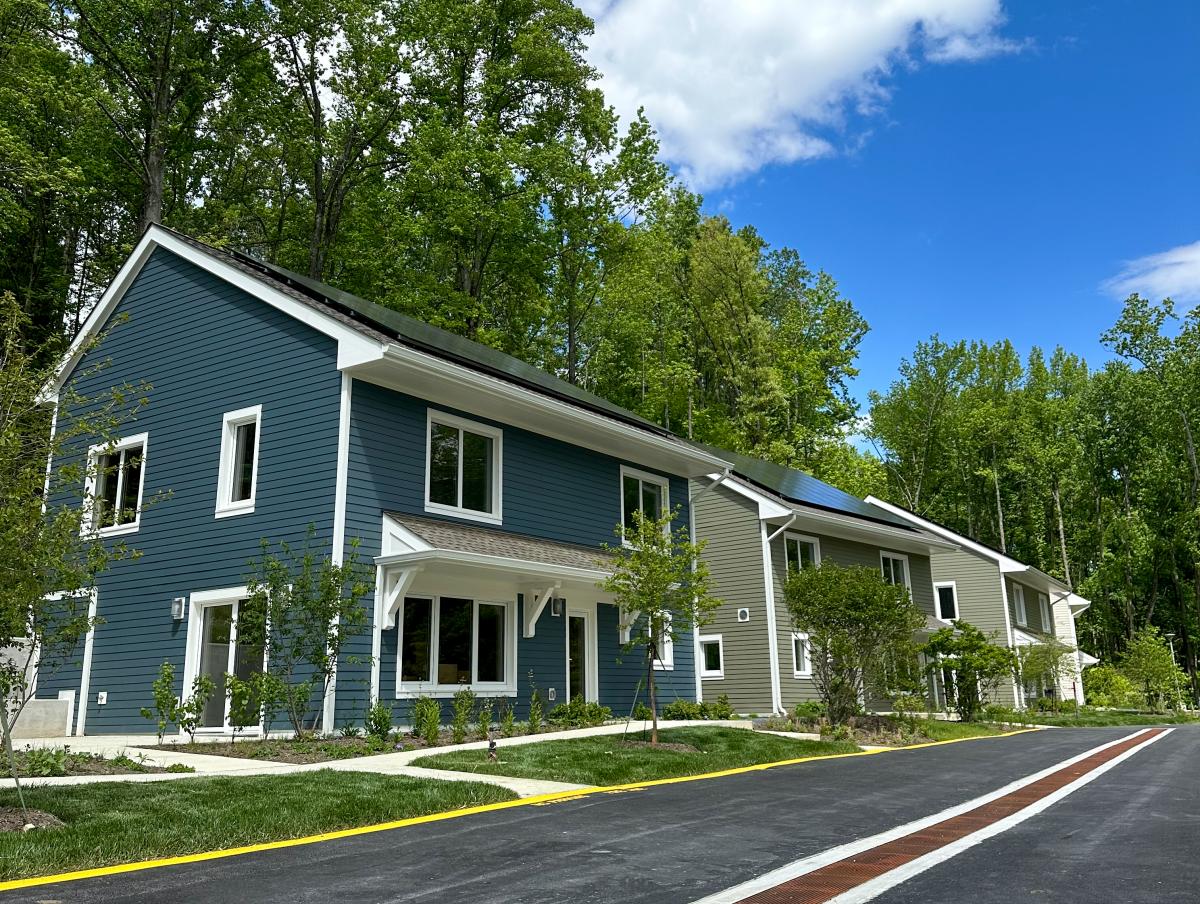 Newly built Visitor Cottages. One blue, two olive, and a partial view of one beige cottage are shown. The cottages have solar panels on their roofs. There is a small street in front of the cottages. There is a forest behind the cottages, and some young trees planted in the front yards. The bright, blue sky above is mostly clear, with a few clouds.